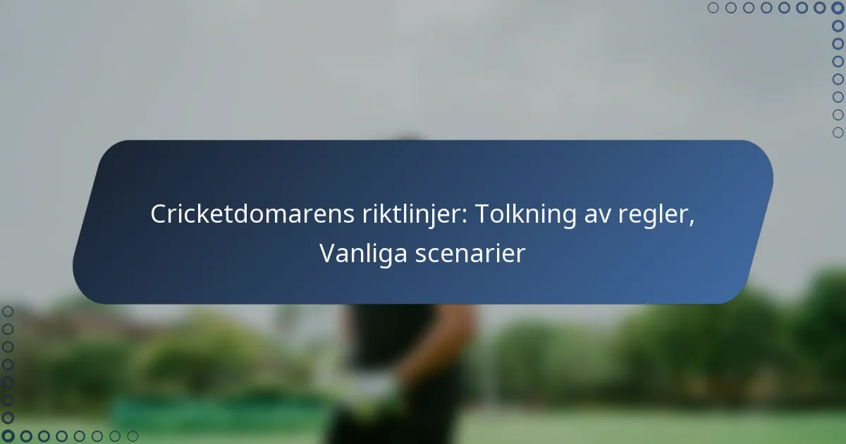Cricketdomarens riktlinjer: Tolkning av regler, Vanliga scenarier