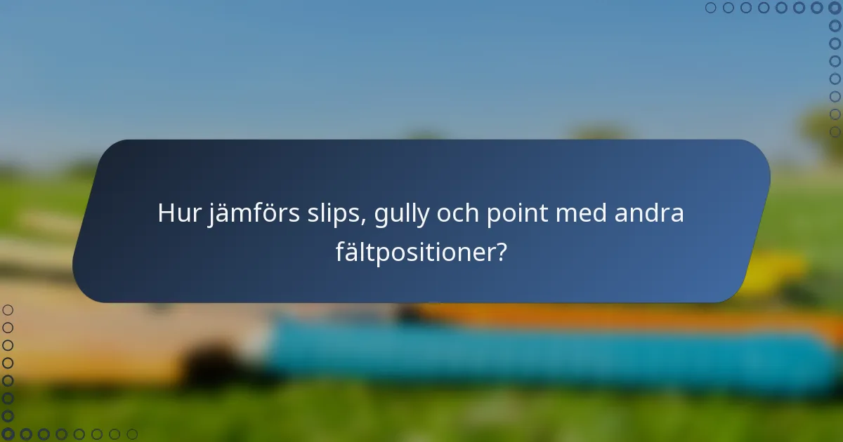 Hur jämförs slips, gully och point med andra fältpositioner?