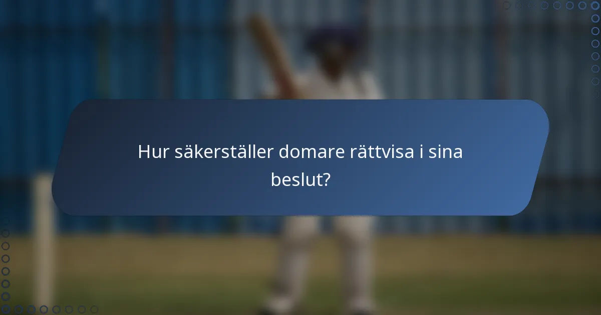 Hur säkerställer domare rättvisa i sina beslut?