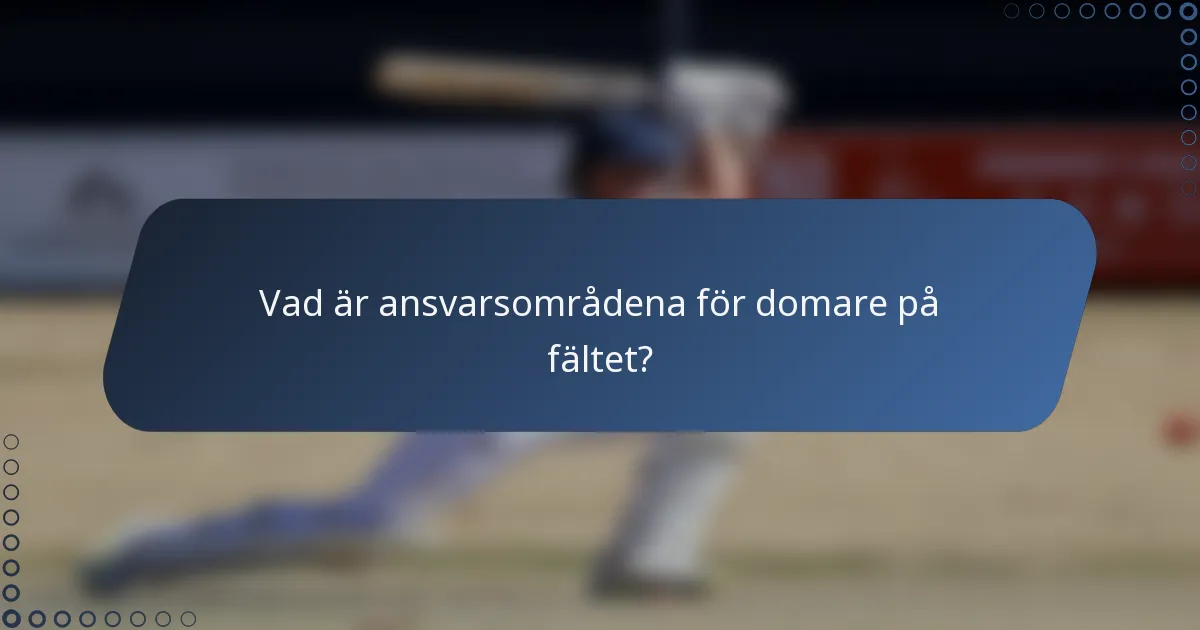 Vad är ansvarsområdena för domare på fältet?