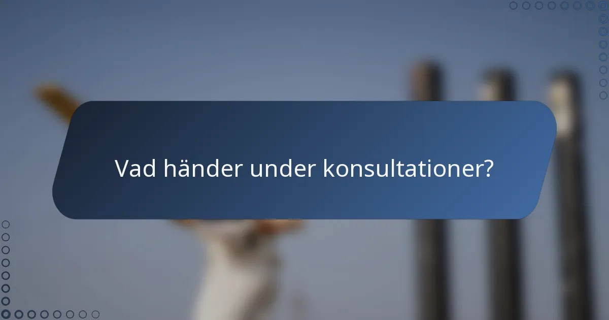 Vad händer under konsultationer?
