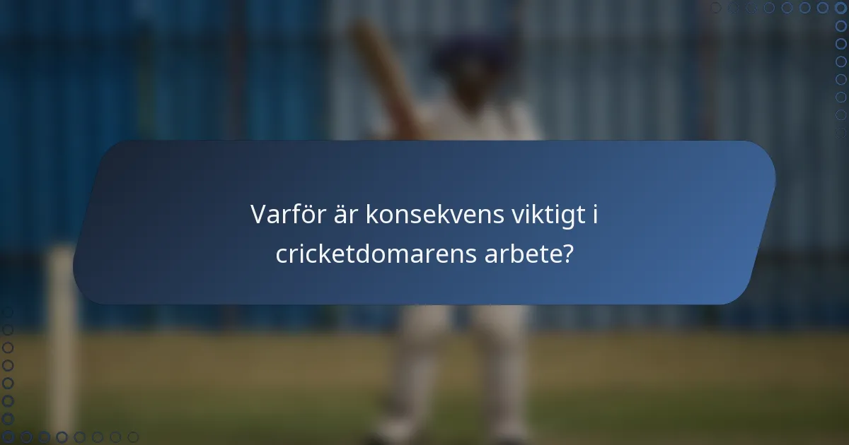 Varför är konsekvens viktigt i cricketdomarens arbete?