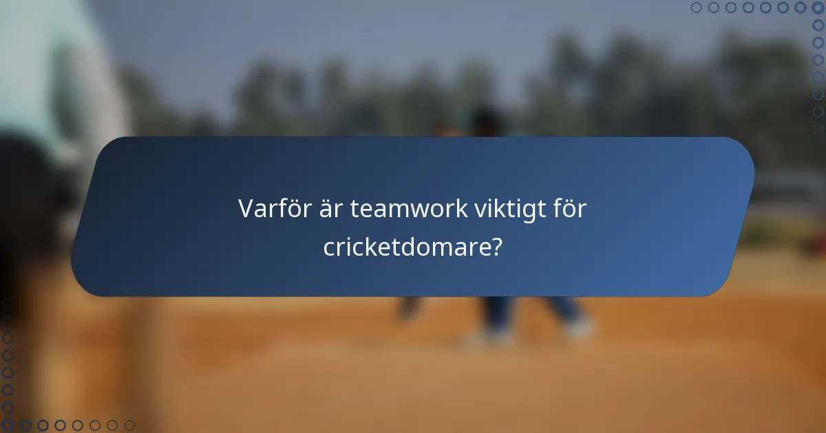 Varför är teamwork viktigt för cricketdomare?