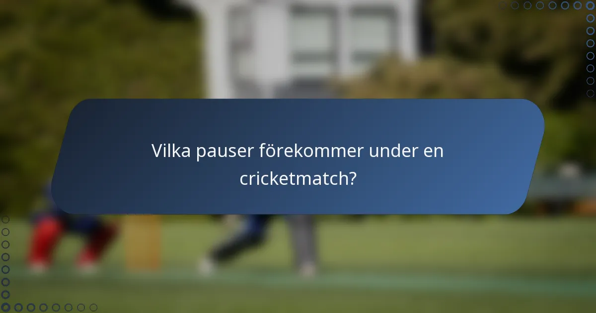 Vilka pauser förekommer under en cricketmatch?